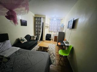 Ali homes - Nairobi - 5