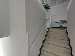 Serene Home - Líbano - 6