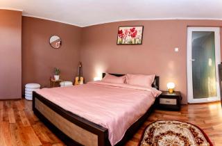 Pensiunea Anais - Novaci-Străini - 7