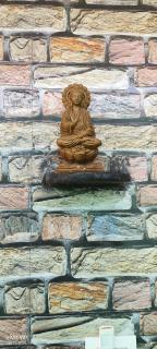 SAHASRA HOME STAY HAMPi - Hospet - 4