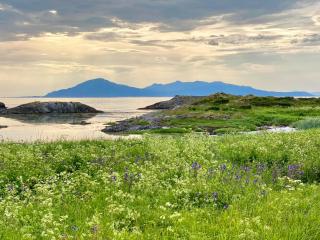 Lofoten and Vesterålen Kveldro - 1