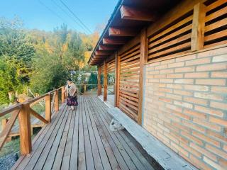 Cabañas El vuelo del Zorzal - Panguipulli - 1