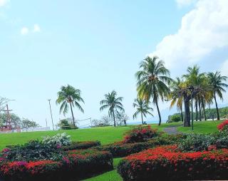 Résidence au cœur des îles Martinique 23 - Bellevue - 5