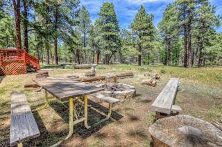 Gorgeous Historic 3 BR Log Cabin w Forest Views 20 Minutes from Flagstaff Now with Wi-Fi - Parks - 8
