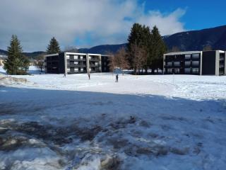 Appartement cosy, 5 pers, proche pistes - FR-1-737-32 - 5
