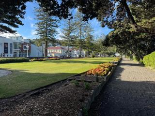 Chic apartment in Art Deco Napier - Napier - 3