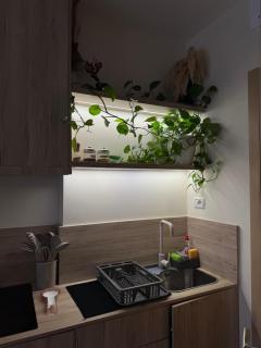 Vlora Studio - Vlora - 1