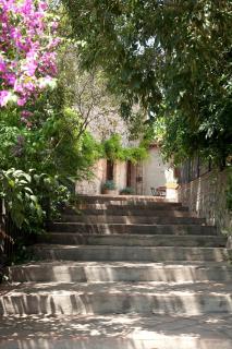 Mas del Molí - Reus - 2