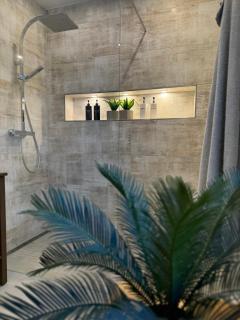 Pavlovic & Götze - 5