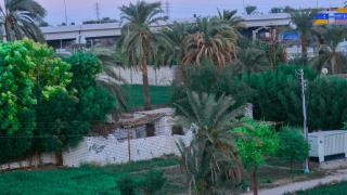 Jasmin house - ‘Ezbet Abu Ḥabashi - 9