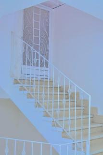 Jasmin house - ‘Ezbet Abu Ḥabashi - 2