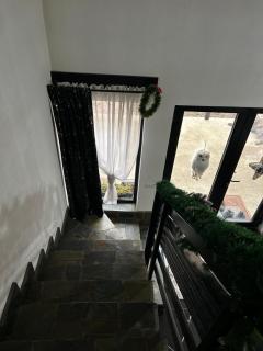 Casa de la Tara - - 9