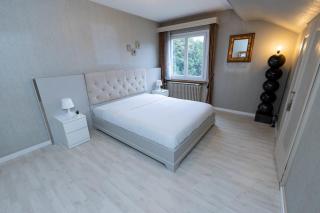 Geneva Villa - 12 persons - Chêne-Bourg - 2