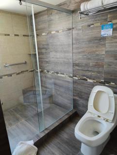 Kasa Hotel & Suites - Irapuato - 4