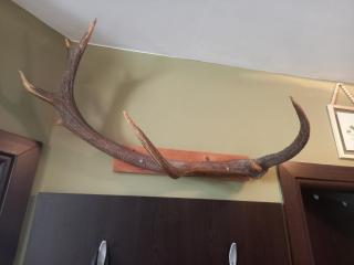 Top Top location Green apartment - Bansko - 2