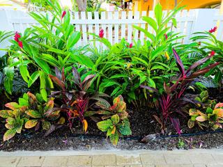 Spacious oasis of light and nature beach villa - 9