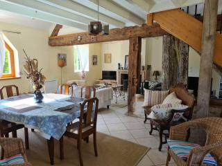 Maison solognote calme et boisée, proche châteaux Loire, golf, vélos, ping-pong - FR-1-590-34 - Jouy-le-Potier - 8
