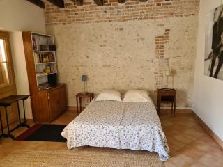 Maison solognote calme et boisée, proche châteaux Loire, golf, vélos, ping-pong - FR-1-590-34 - Jouy-le-Potier - 6