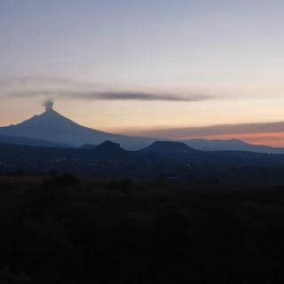 Hotel Alondra - Los Laureles - 6