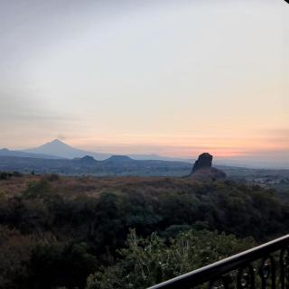 Hotel Alondra - Los Laureles - 5