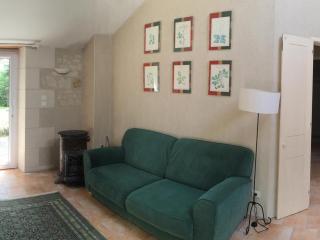 Gîte Familial en Forêt près de Chinon avec Jeux et Terrasse - FR-1-381-232 - Saint-Benoît-la-Forêt - 7