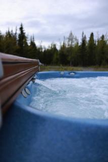 Knik Wilderness Getaway - 9