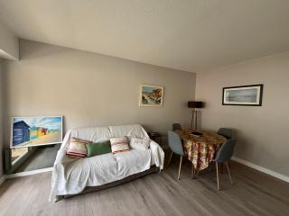 Appartement T2 avec Terrasse et Parking Privé - Hyper-Centre Arcachon - FR-1-319-13 - Arcachon - 8