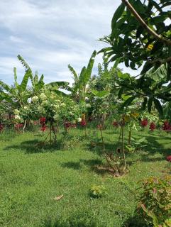 The Daun Puntik HomeStay - Pawenang - 5