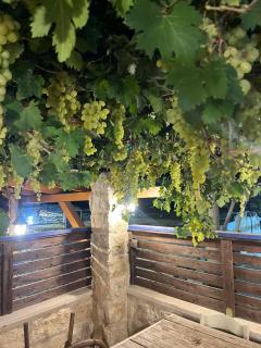 לומינוס האגוז - 4