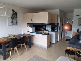 Bel appartement T2 avec vue et balcon à Barcelonnette - FR-1-804-27 - Barcelonnette - 5