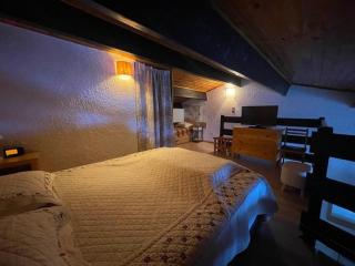 Appartement T2 au pied des pistes, 4 couchages, balcon - FR-1-804-42 - Le Sauze - 8
