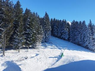 Studio au pied des pistes, idéal pour 4, bien équipé, balcon - FR-1-771-81 - Les Adrets - 4