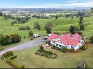 The Falls Teahouse - Millaa Millaa - 4