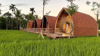 Turrall Bungalow - Puyung - 3