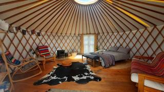 Raglan Glamping - Raglan - 9