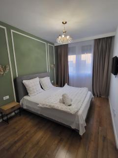 Sika Prestige Apartment - Arad - 3