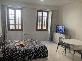 Grand Studio Historique 30m2 - hypercentre - Chambéry - 2
