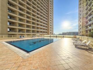 Luxury 1BR with Lake View Near Downtown Balcony and Pool Access - 9