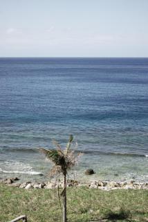Dailylife behind the island - Green Island - 9
