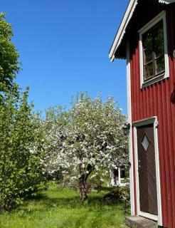Skänninge Vimmerby - Vimmerby - 1