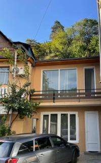 Gia's apartament - Borjomi - 3