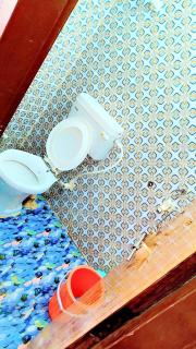 Kishori kripa Guest inn - 2