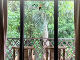 Birding Cottage Tangkoko - Rinondoran - 8