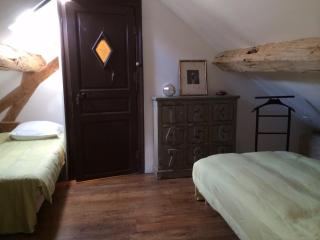 Orangerie du Saulce - Escolives-Sainte-Camille - 2