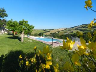 Agriturismo Dai Mori - Isola del Piano - 9