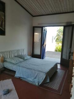 Charmante chambre sud sauvage - Saint-Joseph - 4