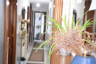CASA PITA Completa Grupos - San Justo de la Vega - 6