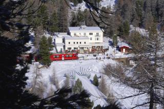 Hotel Morteratsch - Pontresina - 0