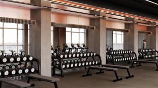 Phoenix Hotel & Wellness - Sheikh Zayed - 2