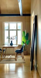 Unique Design House in Oslo center - Oslo - 2